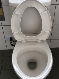 廁所清潔